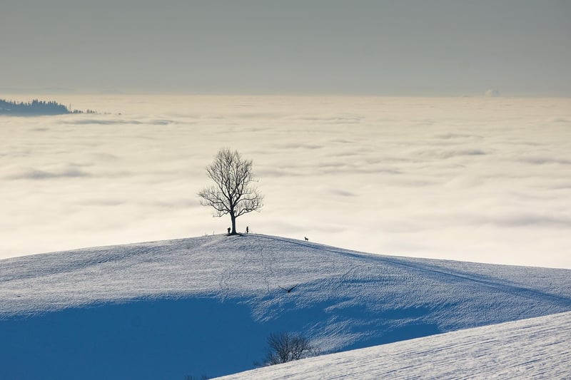 Mountain Retreat